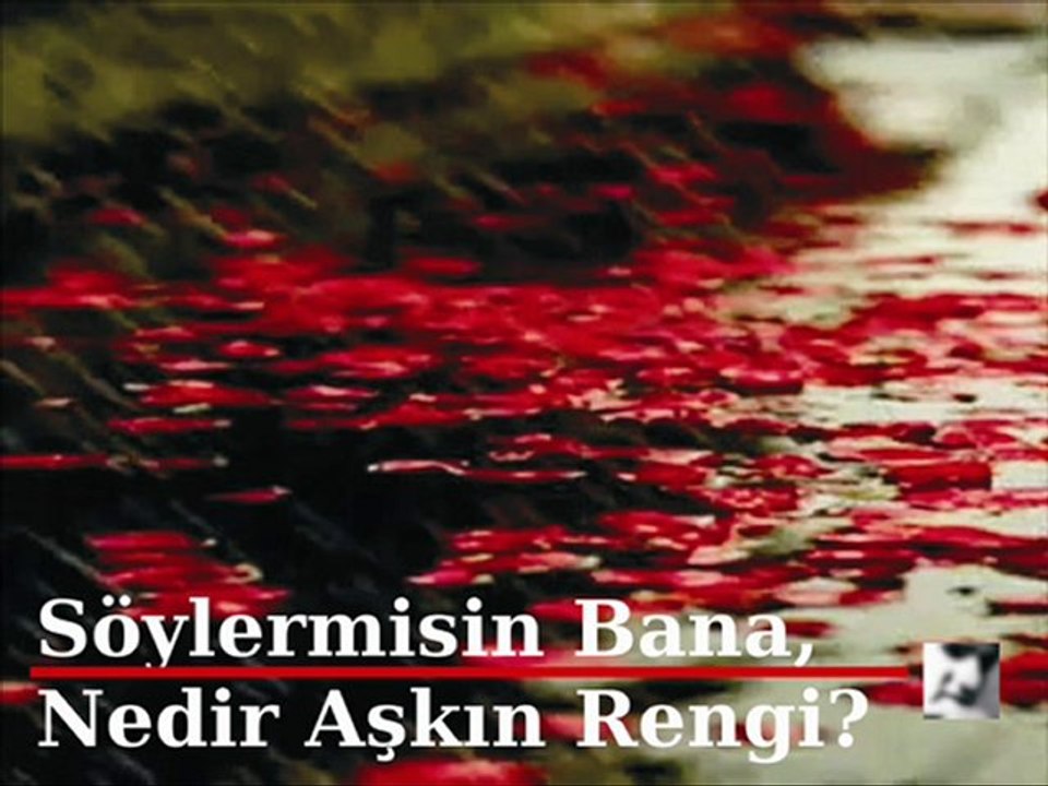 Söylermisin Bana..Nedir Aşkın Rengi?