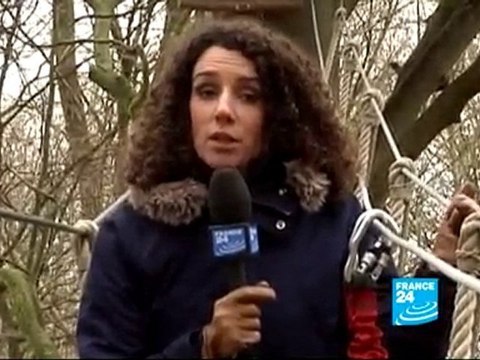 ENVIRONMENT: Forests on the front line