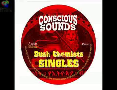 Bush Chemists - Stepping Again
