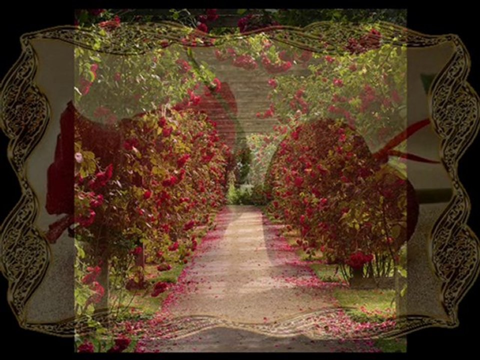 bensenigörmeden sevdm