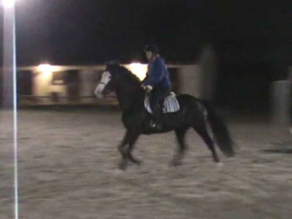 Piou saut 3
