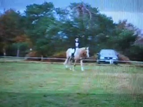 CCE aubigny Ponam D2 le 07.11.10