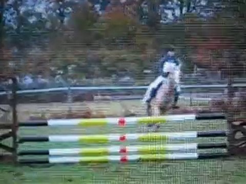 CCE aubigny Ponam D2 le 07.11.10 cso