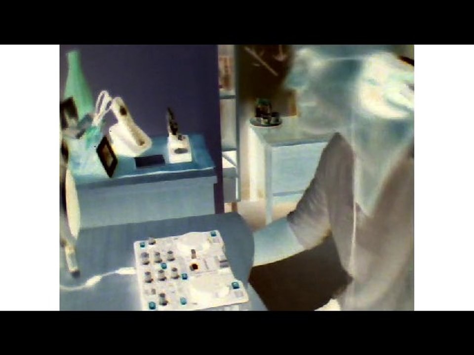 ELECTRO SUN BITCH 2011