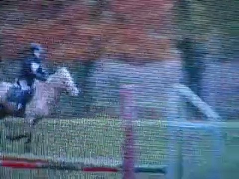 CCE aubigny Ponam D2 le 07.11.10 cross