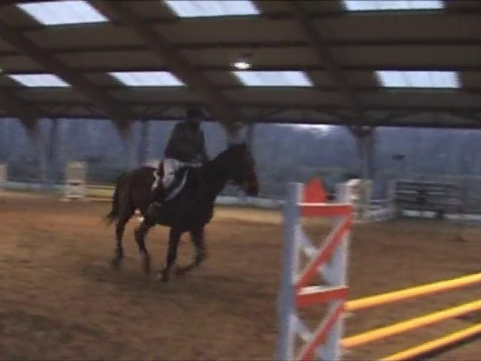 Delphine 23/01/2011
