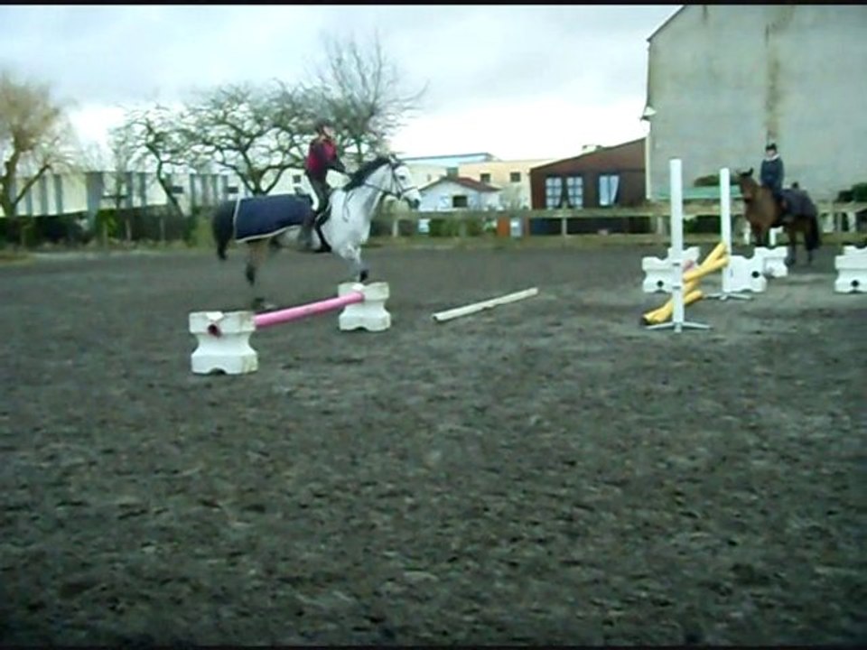 lutin cours 22 janvier 2011