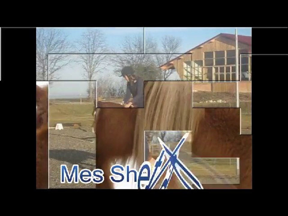 Présentation de ma passion !