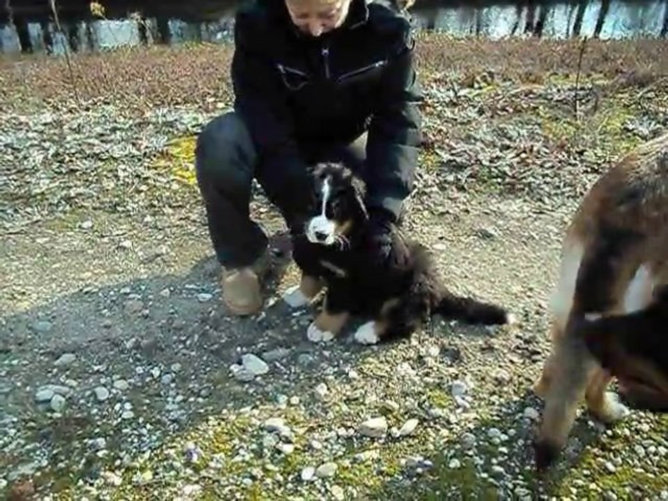 st alban dimanche 23 01 2011 004