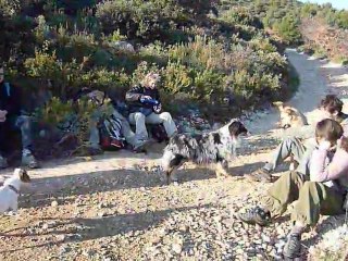 Jeu pendant la Rando du Vallon de l'Oule-Mur de la Peste