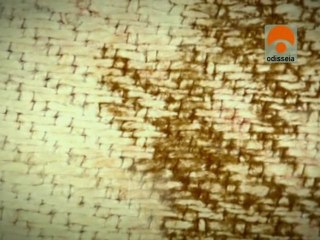 [3/4] Da Vinci y la Sabana Santa