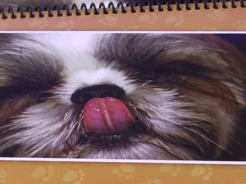 West Hartford Forum Focuses on Dog Behavior