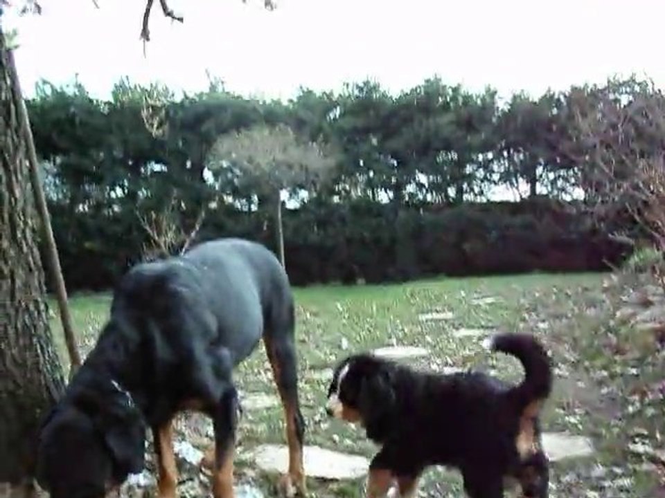 st alban dimanche 23 01 2011 024