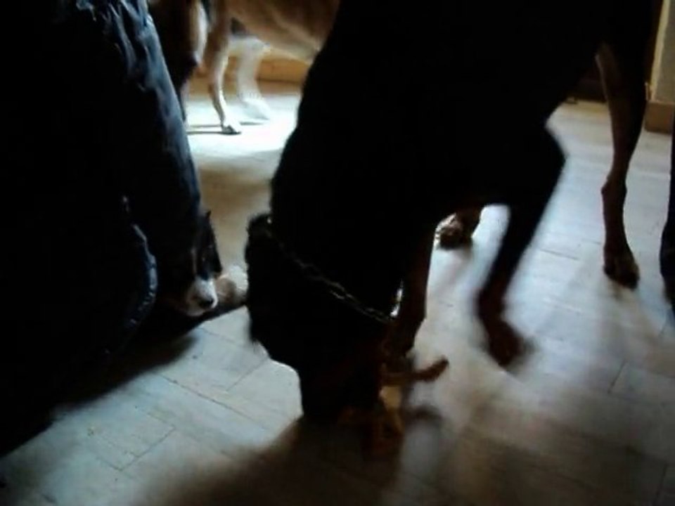 st alban dimanche 23 01 2011 037