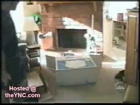 Кошачьи приколы