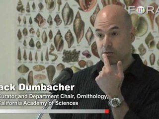 Discovery: First Scientifically Confirmed Poisonous Bird