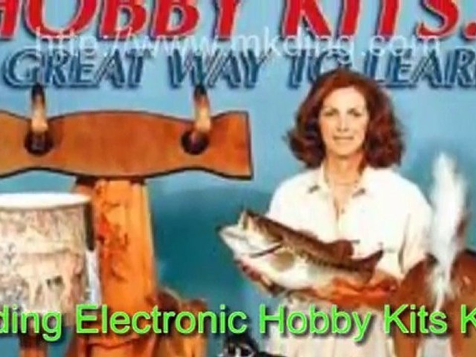 Electronic Hobby Kits For Kids