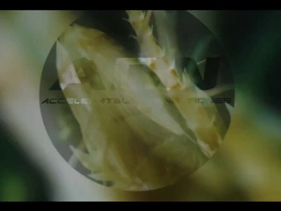 ADN_ROUGH3_2