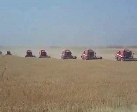 Ceylanpınar Tarım İşletmesi Buğday Hasadı 2010