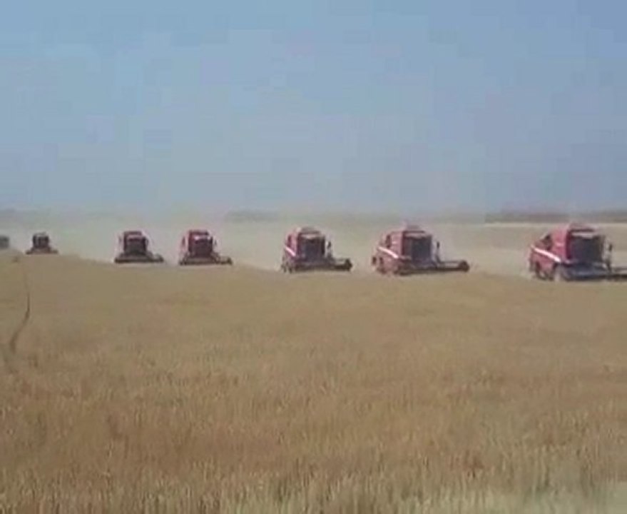 Ceylanpınar Tarım İşletmesi Buğday Hasadı 2010