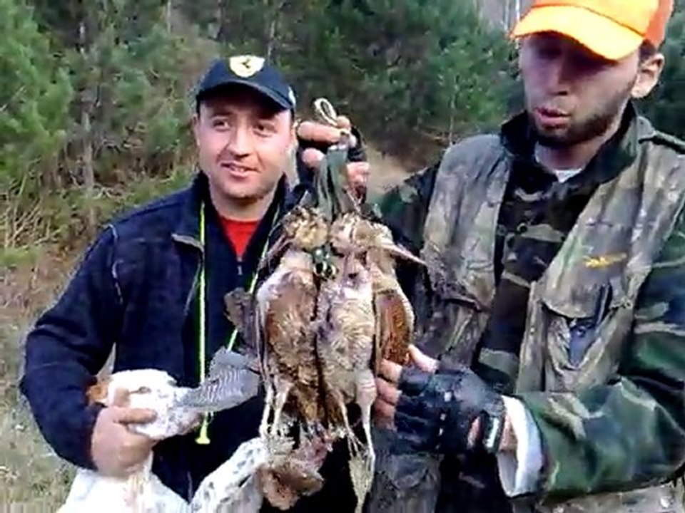 SİNOP....Çulluk Avı Raporları...YALNIZ KURT 57