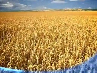 Temiz Enerji Kullanan New Holland Traktörleri