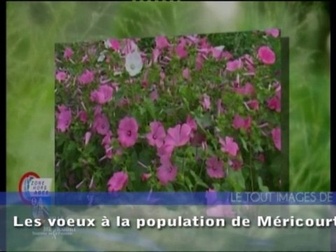 Fil de l'Actu - cérémonie des voeux du maire de Méricourt