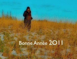 Voeux 2011