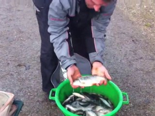 Peche De Gardon Et Brême Dans Le Canal De Muntzenheim Le 13/01/11 (Alsace)