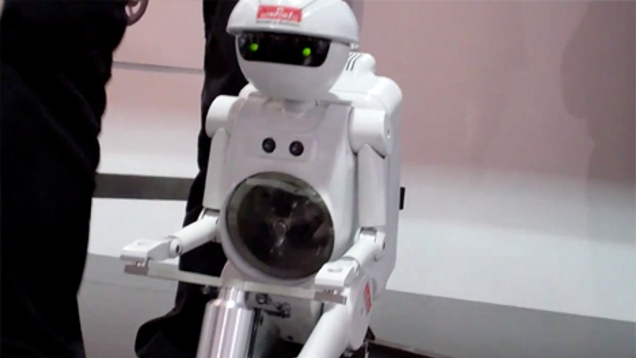 Un Robot qui ne sert à rien, mais rien du tout.