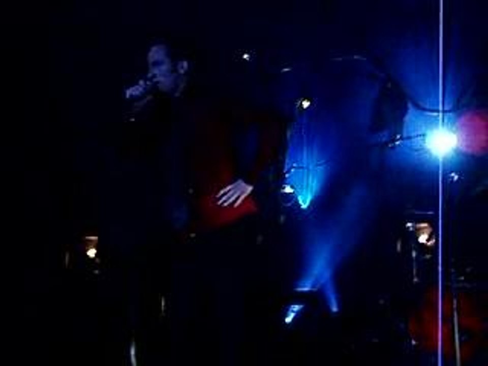 Dionysos ta gueule le chat