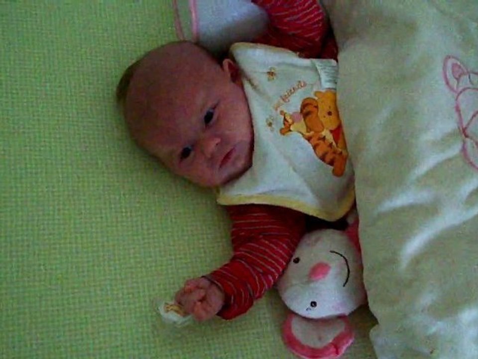 13 janvier 2011