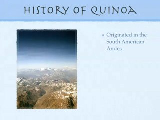 What Is Quinoa? Nutrition & Cooking Tips 🥗