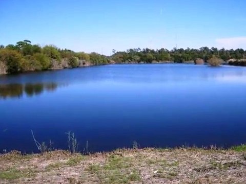 Homes for Sale - 1429 Lettered Olive Ln - Mount Pleasant, SC 29464 - Jeffrey Popper