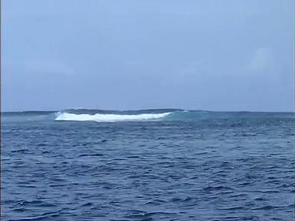 surffrigatesyoutube