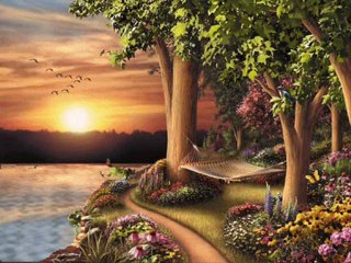 grup zade - seni seviyorum