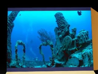 AquaticCam.com Underwater Cameras Testimonials