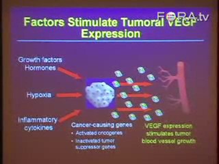 Inhibiting Cancer Growth with Antibodies