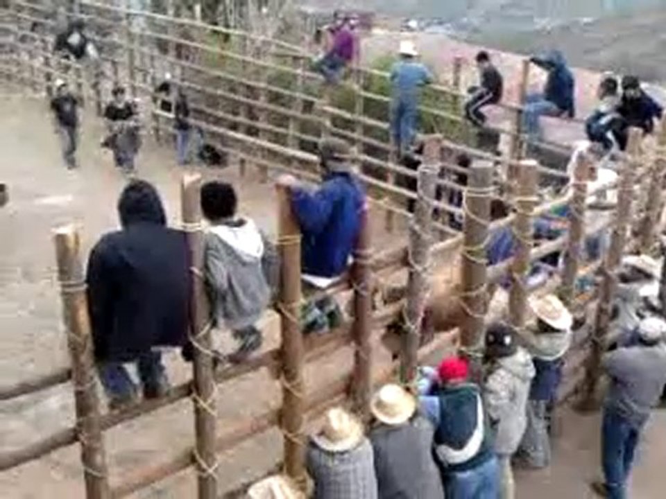 Probando el corral