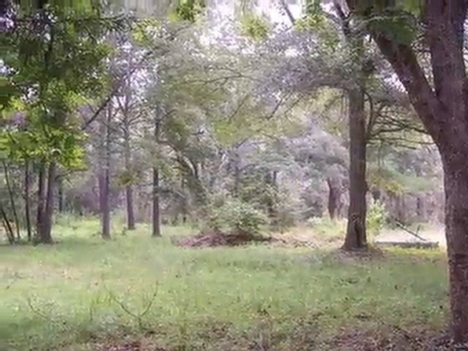 Homes for Sale - 5528 Chisolm Rd - Johns Island, SC 29455 - Linda Brant