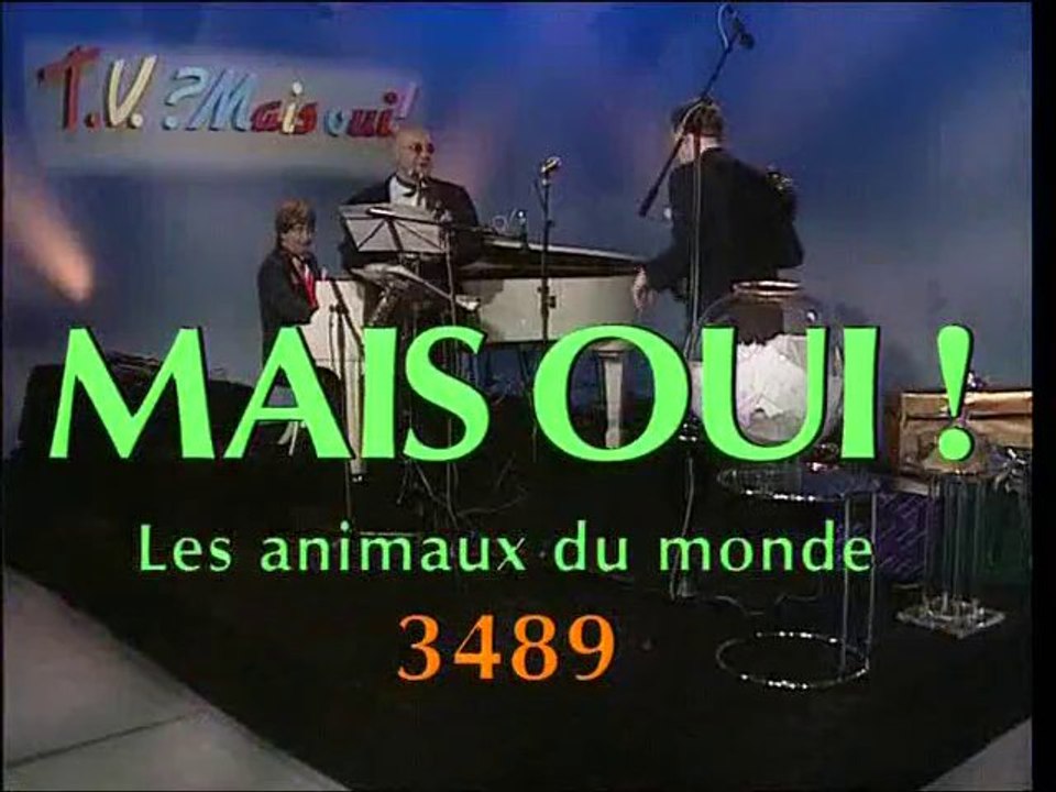 tv maisoui