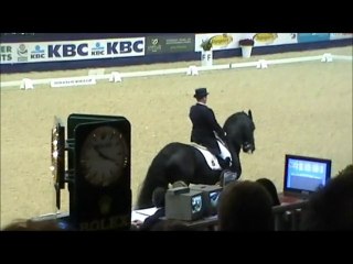 kûr GP Rintje V ( frison) malines 2010