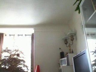 Wiwi muppetshowise "le gendarme se marie"