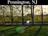 Tree Removal-Trimming Service | Pennington, NJ