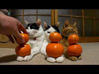 Спокойствие , только спокойствие )))