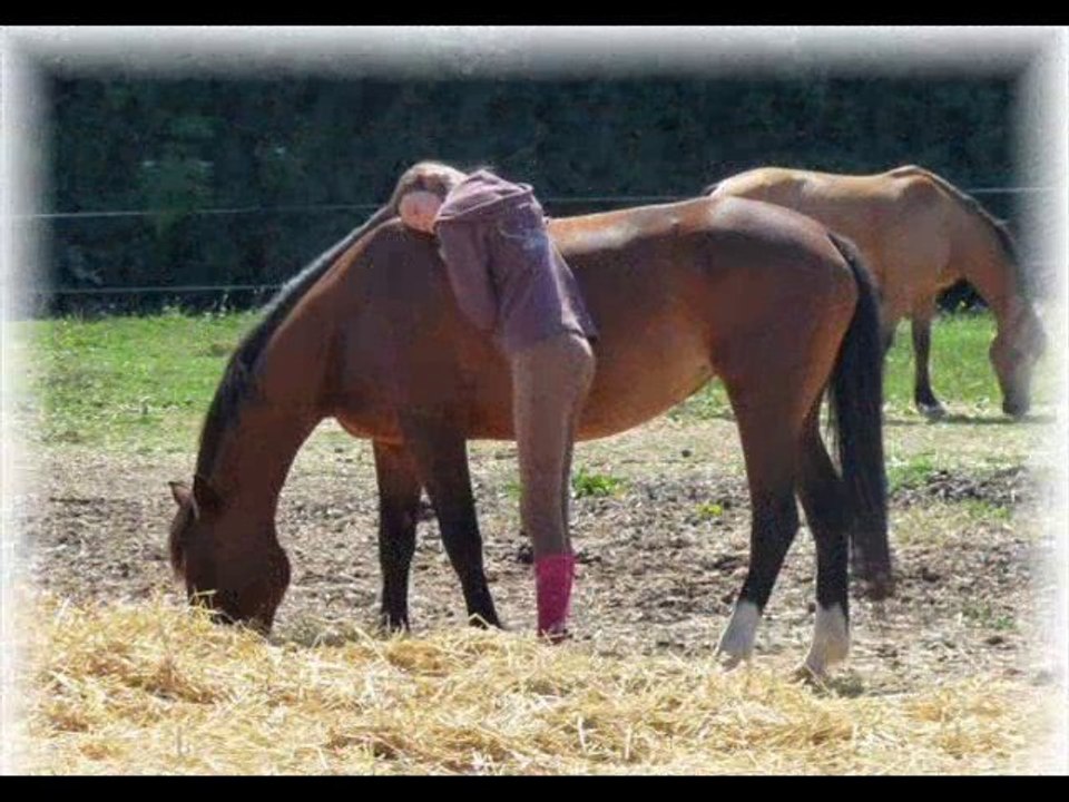 Harmony du Hommet
