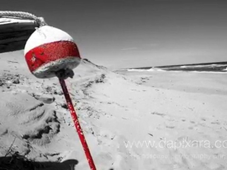 Landscape Photography: Black and white Photos