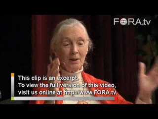 Jane Goodall Discusses Global Overpopulation