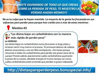 Buscando Dietas Para Perder Peso