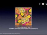 The Dynamic History of Stencil Art